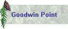 Goodwin Point