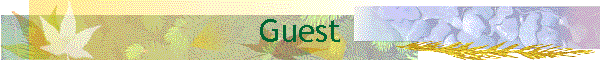 Guest