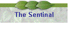 The Sentinal