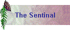 The Sentinal