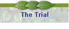 The Trial