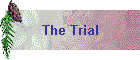 The Trial